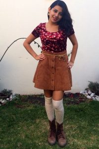 Brown Velvet Skirt